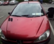 Peugeot 206 details