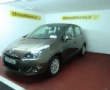 Renault Scenic details